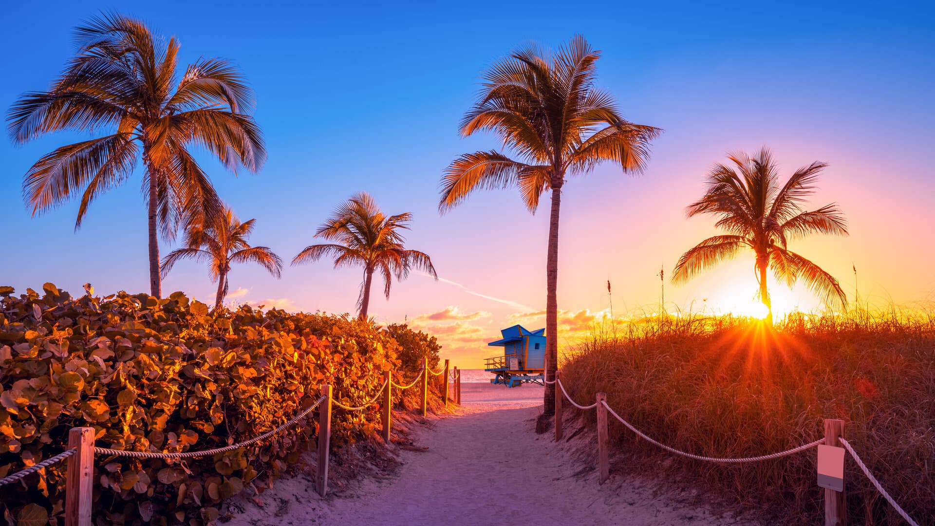 Miami Beach sunset with palm trees — AINative at Consensus 2026