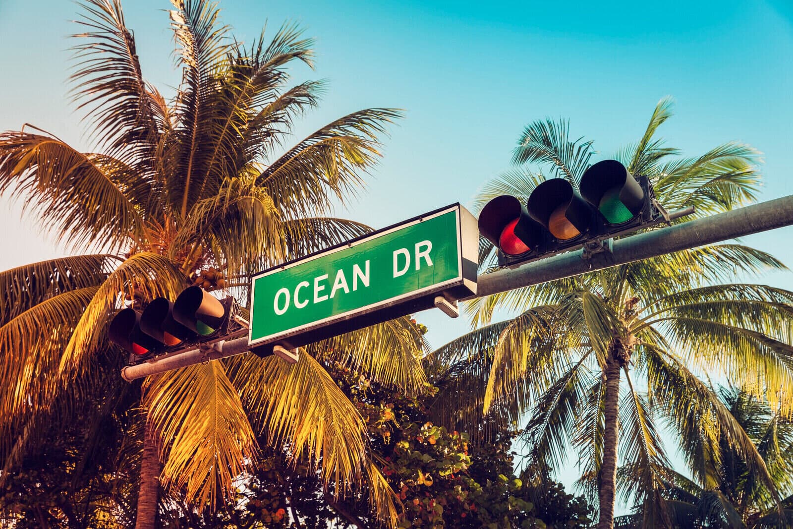 Ocean Drive sign with palm trees in South Beach