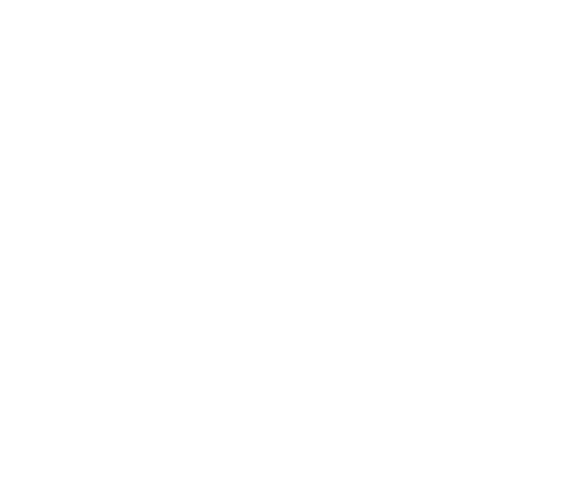AINative Studio logo mark reversed in white for dark backgrounds