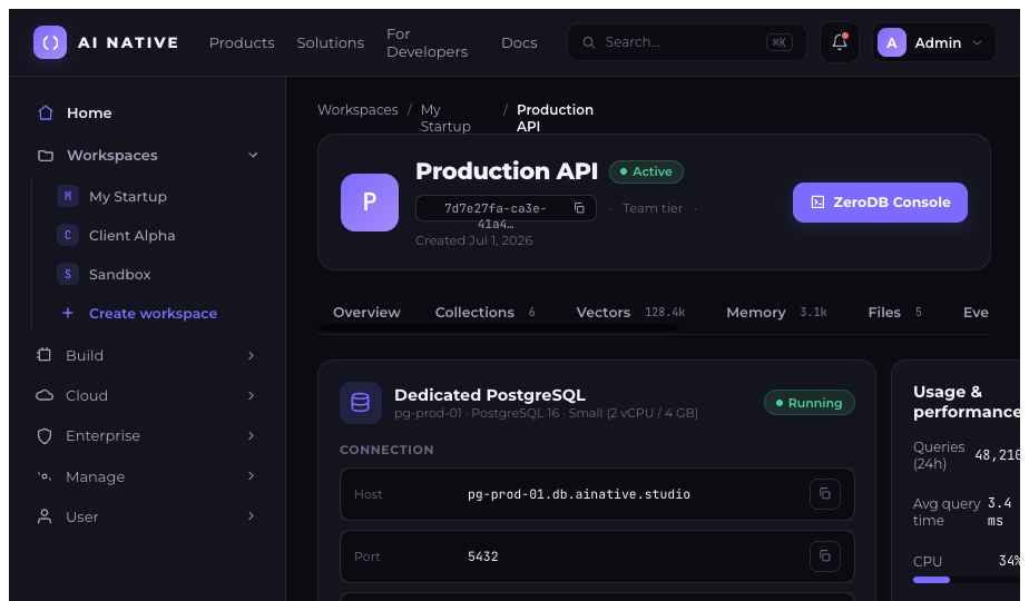 AINative Studio dedicated PostgreSQL — connection details, usage meters, query logs